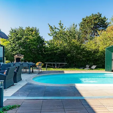 Des Courses - Piscine Et Jardin *