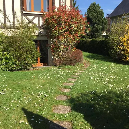 Des Courses - Piscine Et Jardin