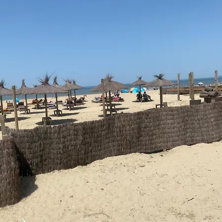 Des Courses - Piscine Et Jardin Deauville