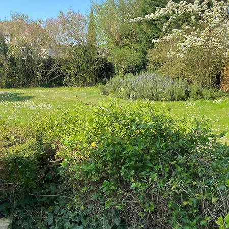 Des Courses - Piscine Et Jardin Deauville