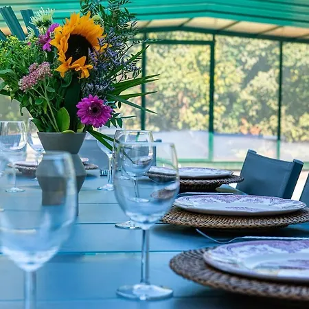 Des Courses - Piscine Et Jardin Villa