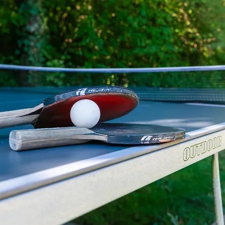 Des Courses - Piscine Et Jardin