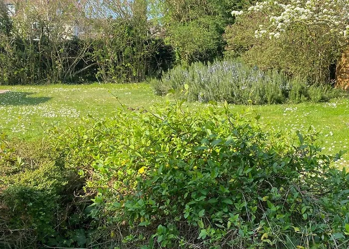 Des Courses - Piscine Et Jardin Deauville