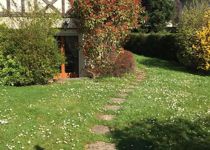 Des Courses - Piscine Et Jardin