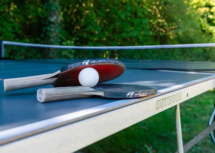 Des Courses - Piscine Et Jardin