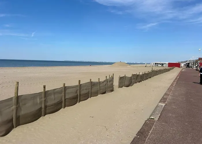 Des Courses - Piscine Et Jardin * Deauville