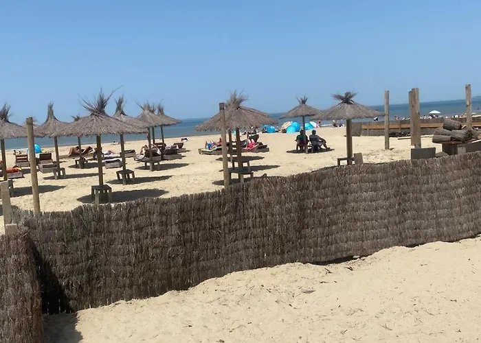 Des Courses - Piscine Et Jardin Deauville